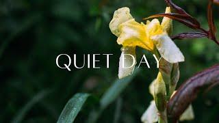 Soft Relaxing Guitar, Piano, and Rain | Sleep Calm | Quiet Day