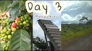  Day 3 in Cambodia | Mondulkiri  #travel #2024 #tiktok #vlog #blogger #asia #hiking