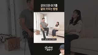 강아지와 아기늘 같이 키우는 방법 강형욱 강아지훈련 강아지교육#강아지#댕댕이 #강아지브이로그#강아지일상#동물농장강아지#푸들#애견영상#강형욱