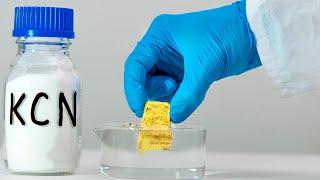 I Dissolved a Gold BAR in Potassium Cyanide Solution!