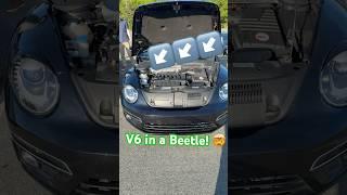 The Beetle VW should have made. V6 + manual!  #SavetheManuals #Engineswap #Bug #Beetle