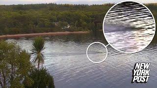 New footage from Scotland suggests there are two Loch Ness monsters: ‘Not a coincidence’