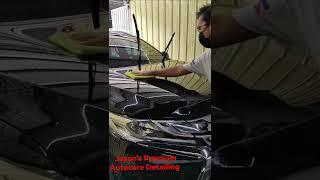 Turtlewax Ice Seal and Shine Application