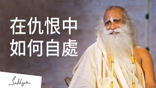 周遭充斥著仇恨，如何享受生命？| Sadhguru (薩古魯)