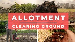 How to clear an Allotment - Allotments for beginners - vegetable gardening