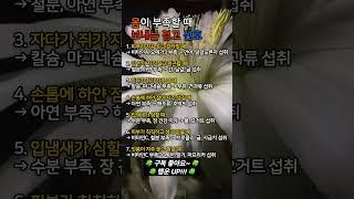 몸이 보내는 신호, 그냥 넘기지 마세요 – 부족한 영양소 7가지