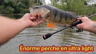 Pêche de la perche et du brochet en ultra light