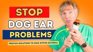 Dog Otitis Externa: Smelly, Itchy Dog Ears? See What This New Study Recommends!