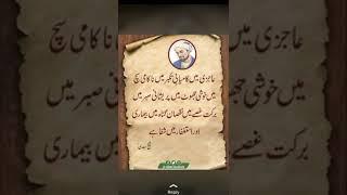 Hazrat Sheikh Saadi ( R.A) #youtubeshorts #quotes