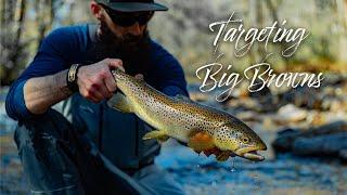 TARGETING BIG BROWN TROUT with CJ LORD