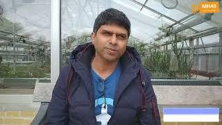 डोनाल्ड ट्रम्प आणि इलॉन मस्कचे बिनसले ते का?
