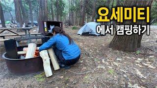 요세미티 캠핑장, 하루 자보니까 왜 예약 전쟁인지 알겠더라  [미국여행 ep10] Upper Pines Campground