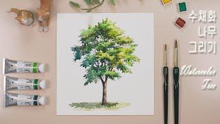 Landscape watercolor basics course / Drawing a tree / Easy Watercolor Tree