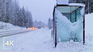 Walking in HEAVY Snowfall ️ | Helsinki’s First Blizzard of 2024, Finland, 4K ASMR Atmos Ambience