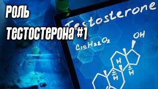 Значение тестостерона #1. Влияние изменений уровня тестостерона на силовые показатели и гипертрофию.