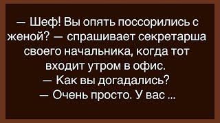 Как Бомж Получил Наследство!Сборник Свежих Анекдотов!Юмор!Смех!