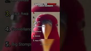 Ranking The Funniest Parrot Moments Part 2