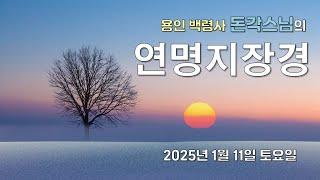 용인 백령사 돈각스님의 '연명지장경' - 2025년 1월 11일 토요일