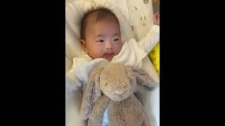 I gave the baby a stuffed rabbit for the first time