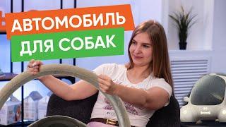 Чем опасны испанские слизни для собак и другие новости “Хвост Ньюс” #125