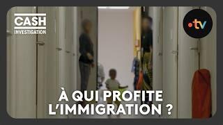 Replay: Who Benefits from Immigration? - Cash Investigation