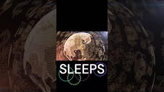 Crypto Never Sleeps  