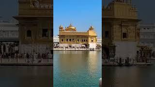 Darbar sahib amritsar!Golden Temple!wmk #trending# shorts