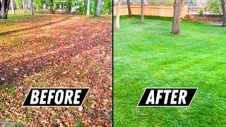 How to Beat LEAVES in the Fall (Leaf Cleanup on HUGE Yard Made EASY)