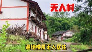 四川发现无人村，遍地楼房无人居住，水果无人采摘，是啥原因呢？