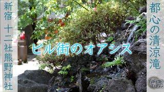 花社花寺ときどき犬 .｡.:*:.｡. 十二社熊野神社 Junisou-kumano shrine