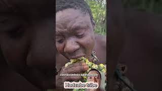 How the Hadzabe enjoy pineapple #hadzabetribe