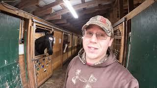 Meeting ALL Our HORSES & Some HISTORY On Our HORSE STABLE