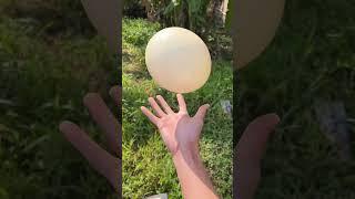 Was Straw Hat Brother cheated?|Chinese Mountain Forest Life and Food #Moo TikTok#FYP