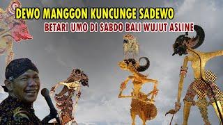 DEWO MANGGON KUNCUNGE SADEWO ## BETARI UMO DI SABDO BALI WUJUT ASLINE #wayangkulit #kisenonugroho