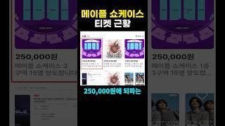 메이플 쇼케이스 티켓 근황