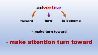 English  vocabulary: vert, English words, vocabulary, the root of the word