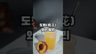 망신살(亡身殺) - 누구나 끌리는 매력