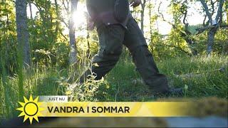 Hon är expert på vandring – här är tipsen för nybörjare  - Nyhetsmorgon (TV4)