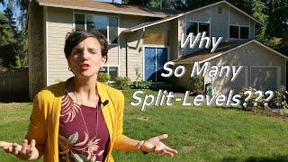 Why So Many Split Levels???