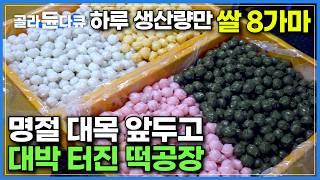 지금이 1년 중 가장 바쁜 시기, 하루 떡 생산량만 쌀 8가마라는 떡공장｜막 만들어진 떡을 냉동실에 넣는 이유｜식사 대용 영양떡부터 형형색색 오색 가래떡까지｜극한직업｜#골라듄다큐