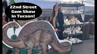 LARGEST Show At Tucson Gem Show 2022  22nd Street Mineral, Fossil, Gem & Jewelry Show!