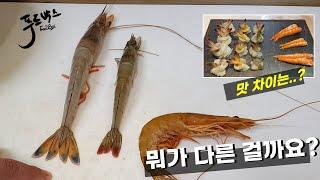 비싼 자연산 대하 vs 양식 흰다리새우 어떻게 다를까요?