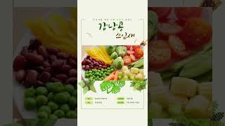 강낭콩키우기 #강낭콩