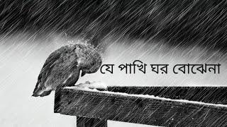 je pakhi ghor bojhena - lyrics | যে পাখি ঘর বােঝেনা -Soft Lyrics | Sudhu Tomar Jonno| Dhruba |