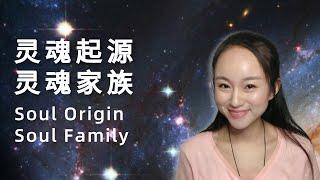 【灵魂家族系列】01 灵魂的起源和灵魂家族/Soul Origin&Soul Family | 星际种子，你遇到自己的灵魂家族了吗？ 432Hz | 昴宿西