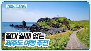 제주도 여행 여기만 가면 끝! 제주도브이로그 제주도여행코스 제주도여행지 만장굴 비밀의숲 섭지코지 스테이라이브 엔스테이