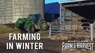 What do Farmers do in Winter? | Maryland Farm & Harvest