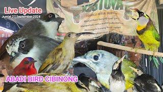 Update stok burung bahan Jum'at berkah 27/09/2024@ABADIBIRDCIBINONG