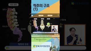 척추의 구조. 이렇게 생겼어요! (1)