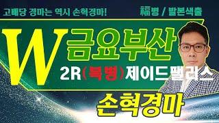 고배당 경마는 역시 손혁 경마 6/20(금)부산 복병마 내용을 확인해 보세요!!